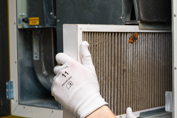 Air Quality Test in Forestbrook, SC